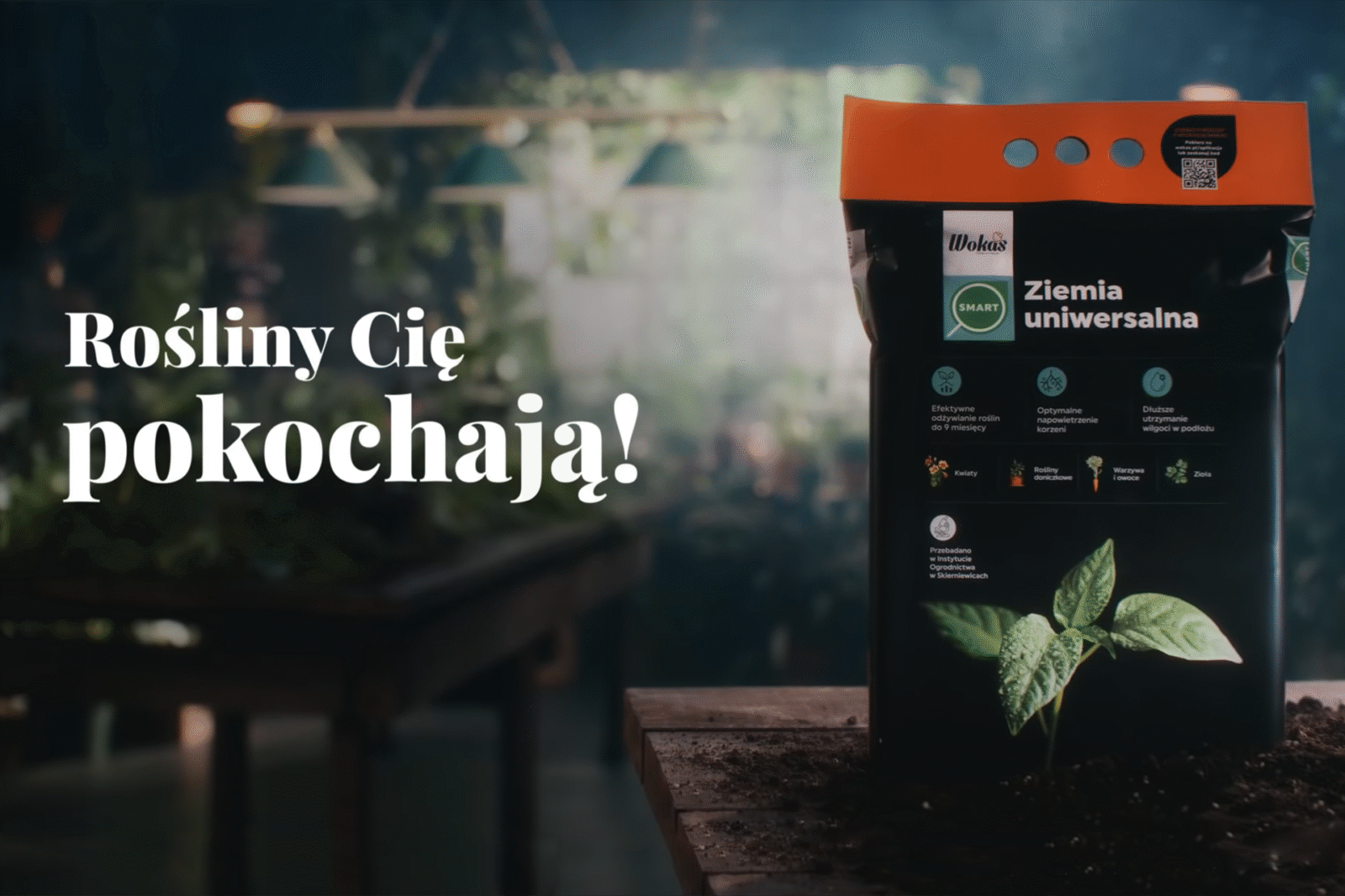 Zdjęcie dla Start kampanii telewizyjnej Wokas