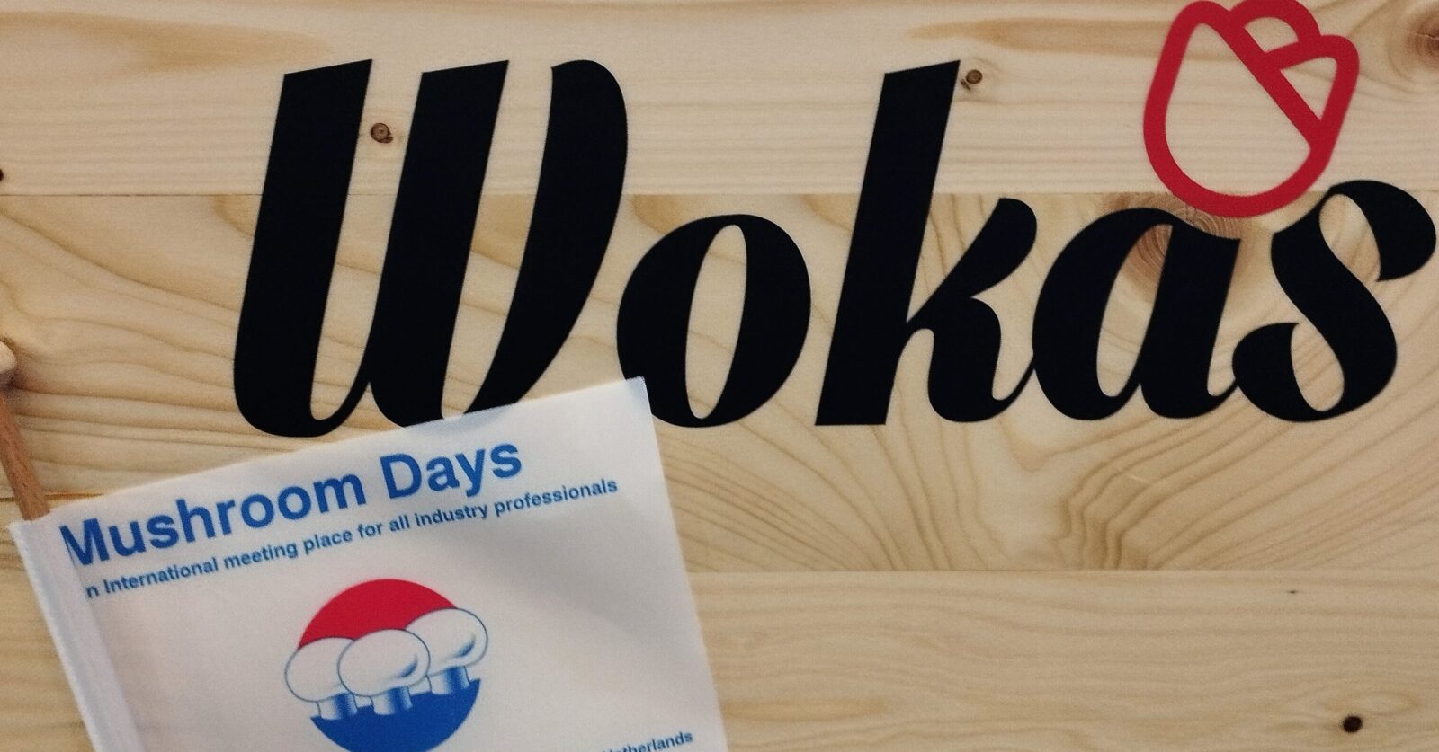 Zdjęcie dla Mushroom Days 2023