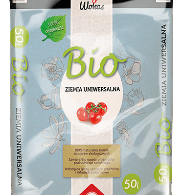 Zaproś światło do swojego ogrodu