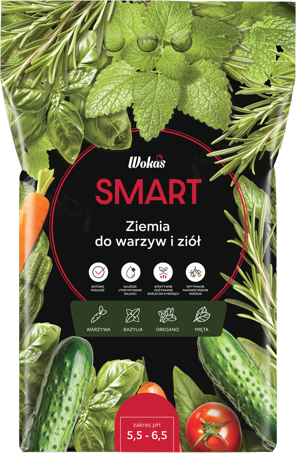Linia SMART