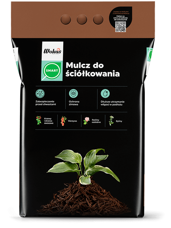 Mulcz do ściółkowania