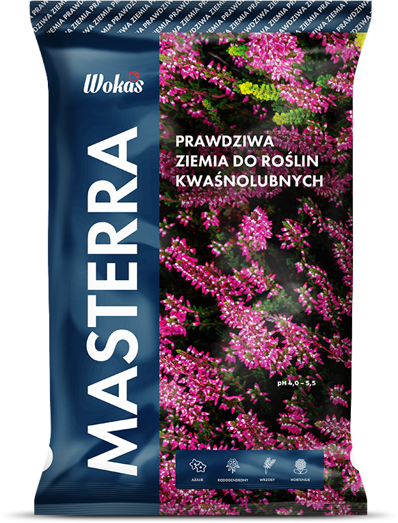 Ziemia do roślin kwaśnolubnych