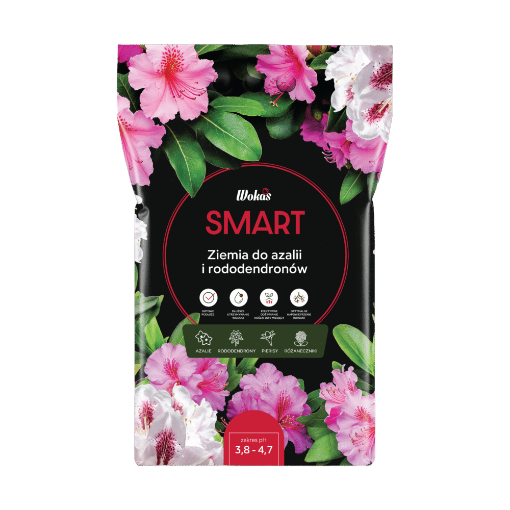 Ziemia do azalii i rododendronów