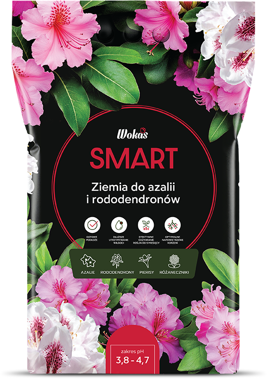 Ziemia do azalii i rododendronów