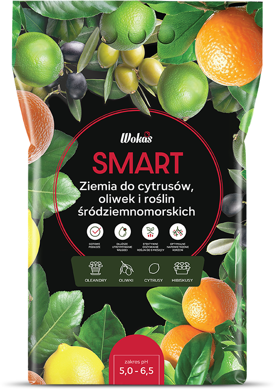 Ziemia do cytrusów i roślin śródziemnomorskich