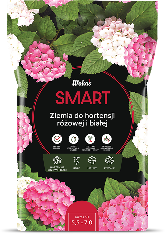 Ziemia do hortensji różowej i białej