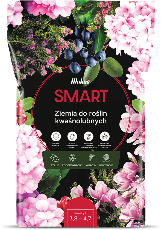 Ziemia do roślin kwaśnolubnych