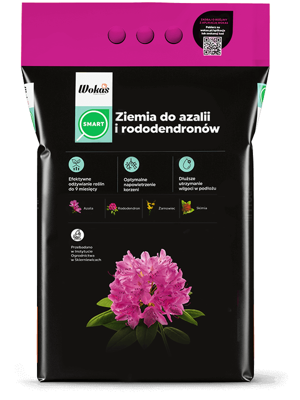 Ziemia do azalii i rododendronów