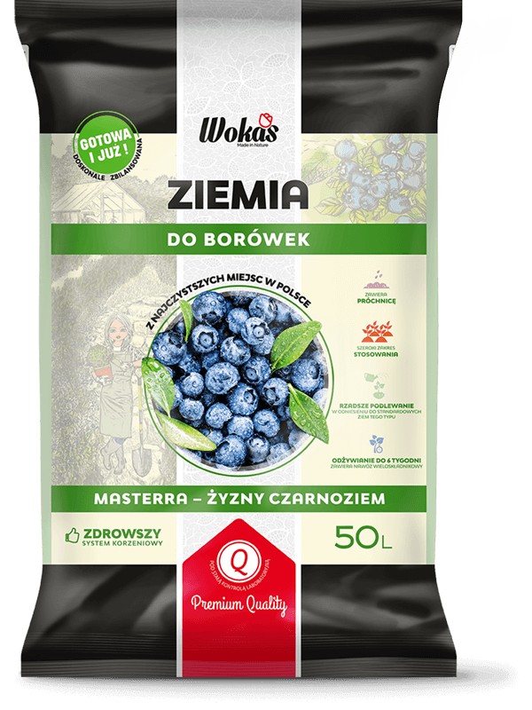 Ziemia do borówek