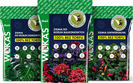 Linia Naturalnie