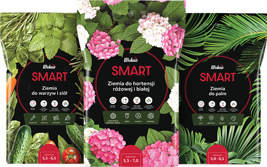 Linia SMART