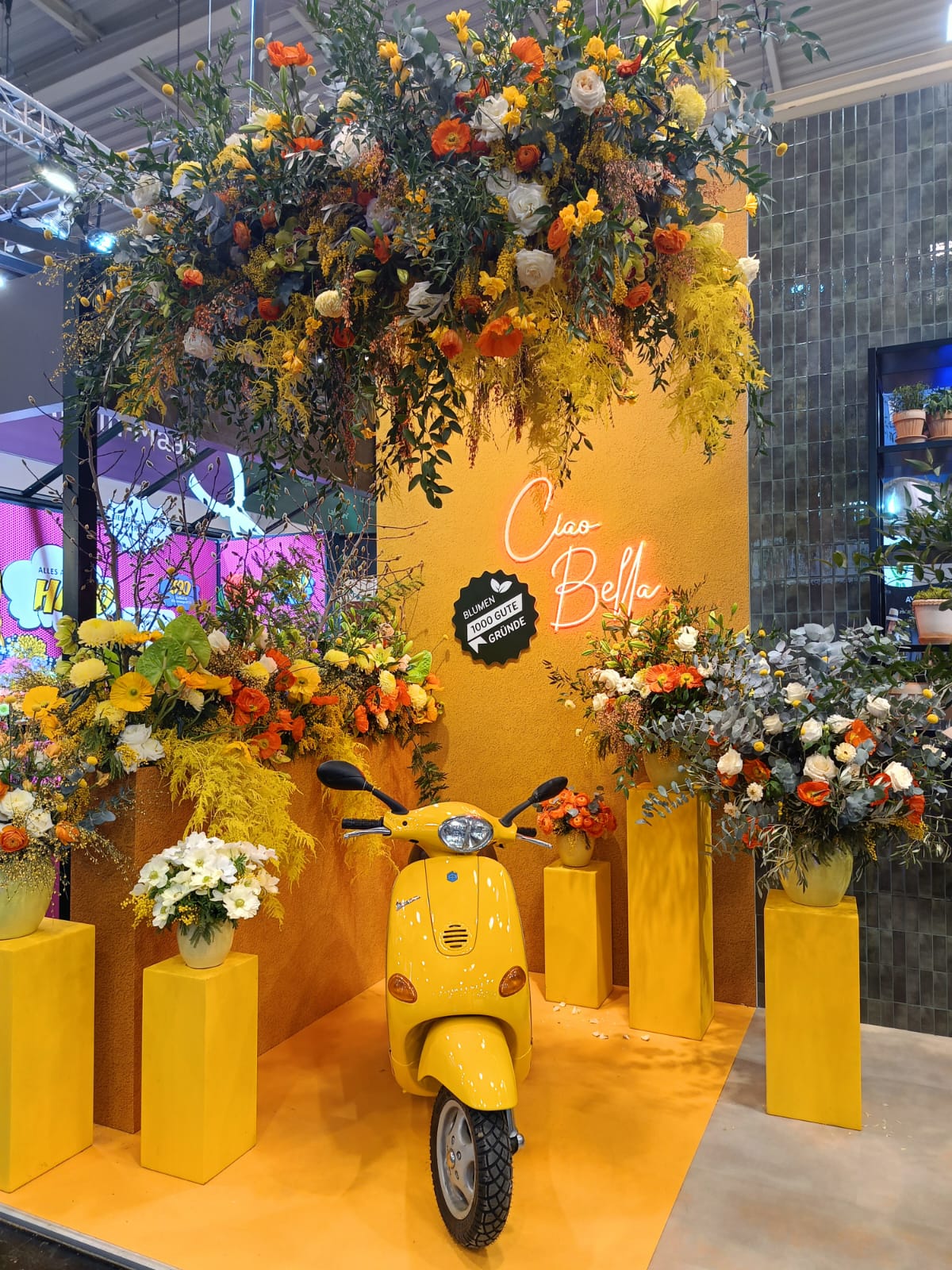 WOKAS NA TARGACH W NIEMCZECH